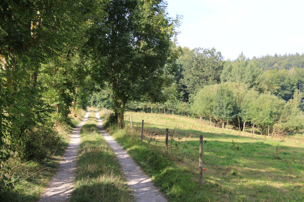 Die Reise beginnt…